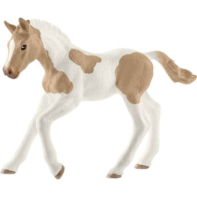 afbeelding artikel Paint Horse Veulen