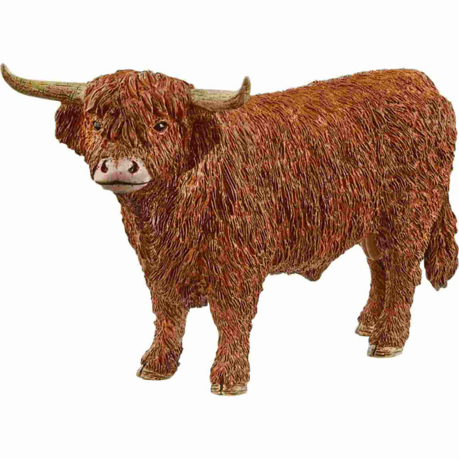 afbeelding artikel Highland Bull