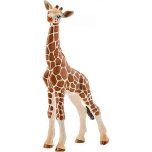 afbeelding artikel Giraf Baby
