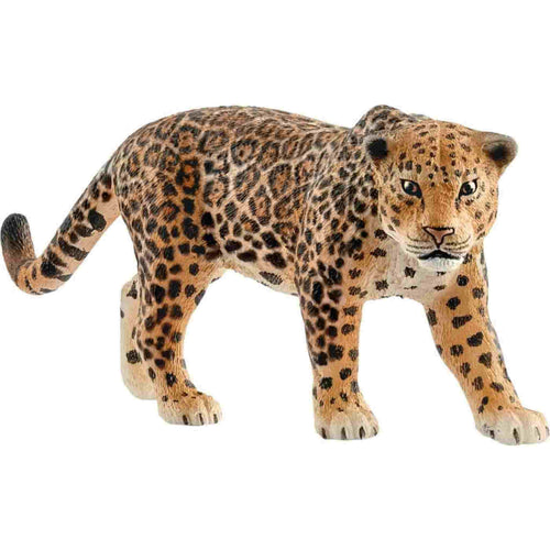 afbeelding artikel Jaguar
