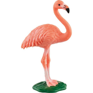 afbeelding artikel Flamingo