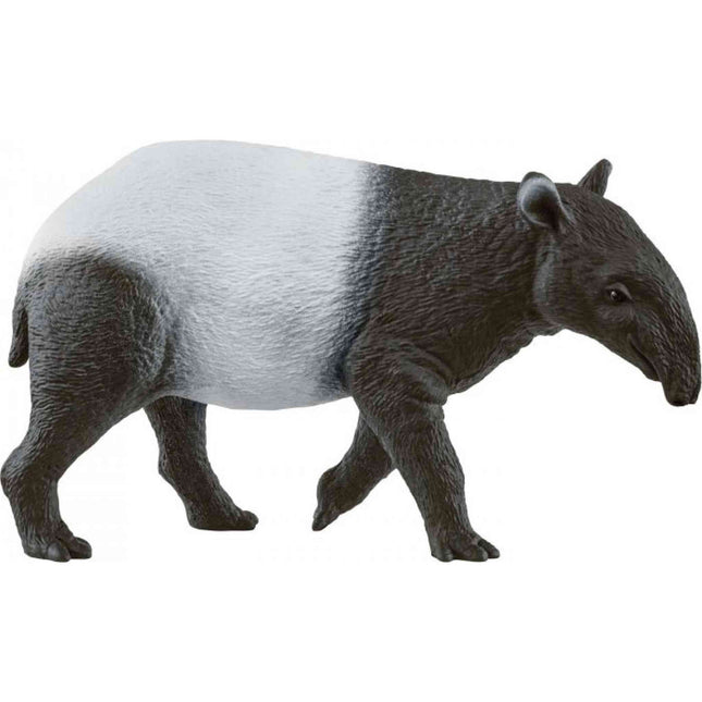 afbeelding artikel Tapir