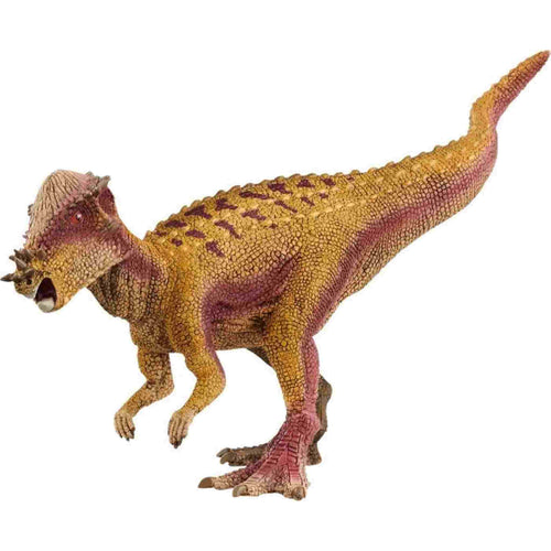 afbeelding artikel Pachycephalosaurus