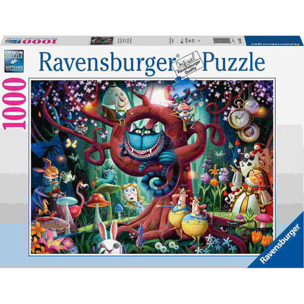 Dit is een foto van het spel Iedereen Is Gek te koop bij Speldorado Spellenwinkel Delft
