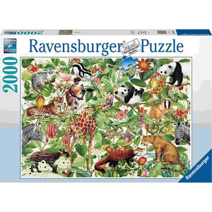 Dit is een foto van het spel Jungle te koop bij Speldorado Spellenwinkel Delft