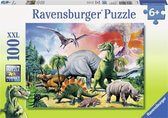 Dit is een foto van het spel Tussen de dinosauriërs - 100 XXL te koop bij Speldorado Spellenwinkel Delft