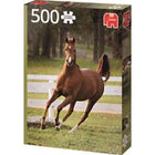 Dit is een foto van het spel Playful Foal te koop bij Speldorado Spellenwinkel Delft