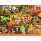 Dit is een foto van het spel Autumn Animals te koop bij Speldorado Spellenwinkel Delft