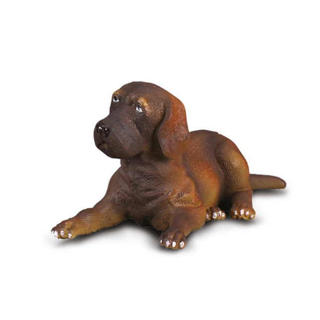 Deense Dog Puppy, 3388065 van Dam te koop bij Speldorado !