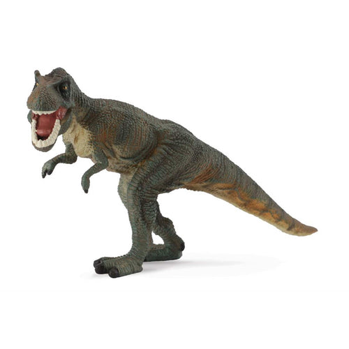 Tyrannosaurus, 3388118 van Dam te koop bij Speldorado !