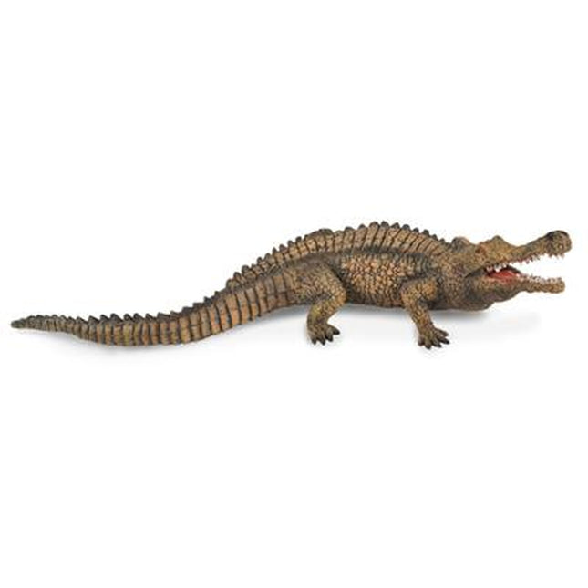 Sarcosuchus, 3388334 van Dam te koop bij Speldorado !