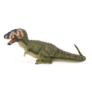 Daspletosaurus, 3388628 van Dam te koop bij Speldorado !