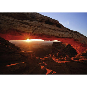 Mesa Arch,Humbold 1000 29594, 809594 van Handels Onderneming Telgenkamp te koop bij Speldorado !