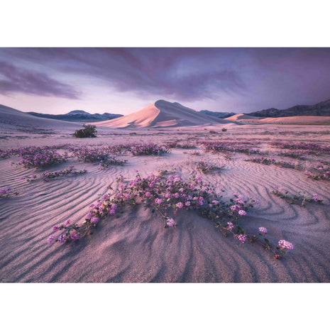 Dit is een foto van het spel Arrow Dynamic te koop bij Speldorado Spellenwinkel Delft