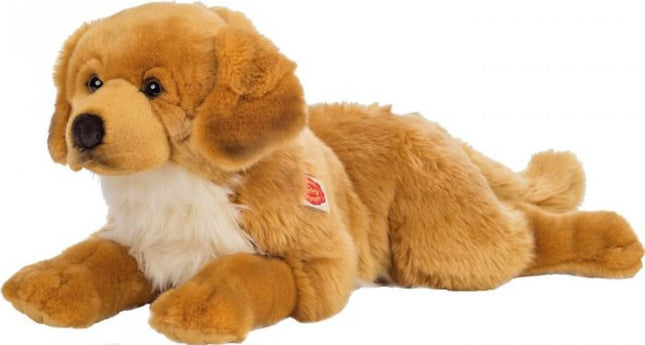 Golden Retriever, 60 Cm, 58426636 van Vedes te koop bij Speldorado !