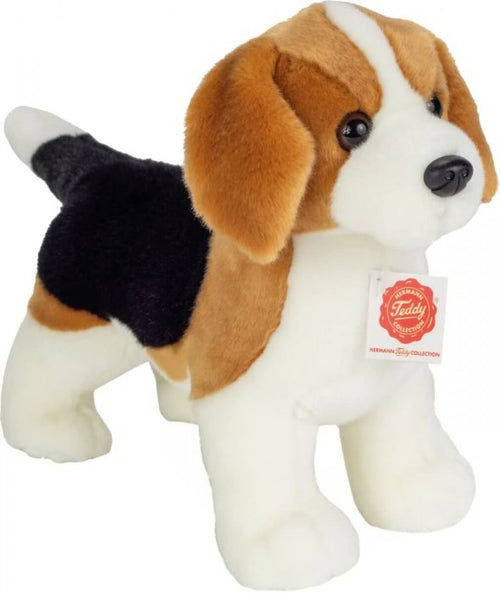 Beagle Staand, 26 Cm, 58428353 van Vedes te koop bij Speldorado !