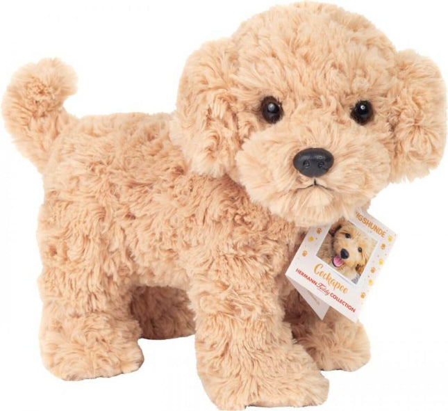 Cockapoo Staande, 23 Cm, 58429155 van Vedes te koop bij Speldorado !