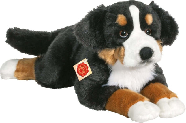 Berner Sennerhond, 60 Cm, 58414620 van Vedes te koop bij Speldorado !