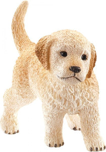 Golden Retriever Puppy - 16396