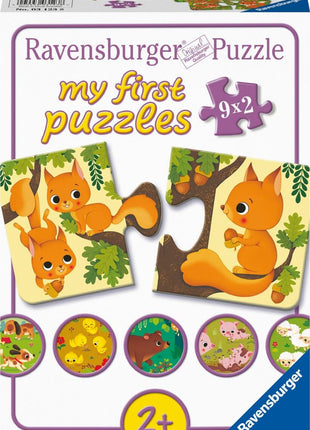 Gibsons puzzel "Surprises in Store" - 1000 stukjes
