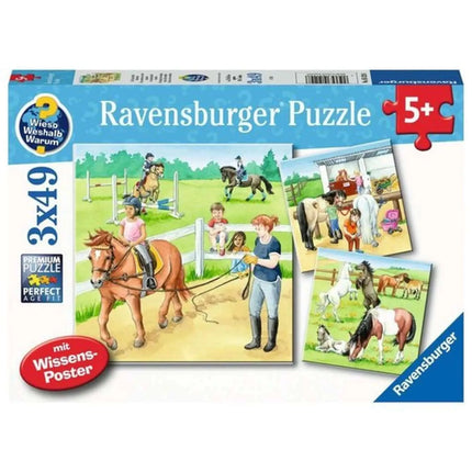Dit is een foto van het spel Een Dag Op De Manege te koop bij Speldorado Spellenwinkel Delft