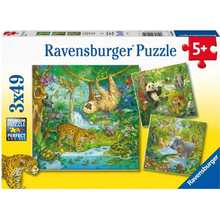 Dit is een foto van het spel In Het Oerwoud te koop bij Speldorado Spellenwinkel Delft