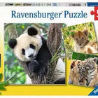 Dit is een foto van het spel Panda, tijger en leeuw - 3x49 stukjes te koop bij Speldorado Spellenwinkel Delft