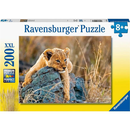 Dit is een foto van het spel Kleine Leeuw te koop bij Speldorado Spellenwinkel Delft