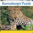 Dit is een foto van het spel Luipaard te koop bij Speldorado Spellenwinkel Delft