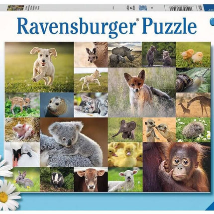 Dit is een foto van het spel Schattige Babydieren te koop bij Speldorado Spellenwinkel Delft