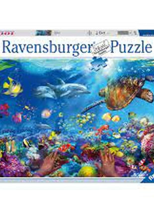 Dit is een foto van het spel Snorkelen te koop bij Speldorado Spellenwinkel Delft
