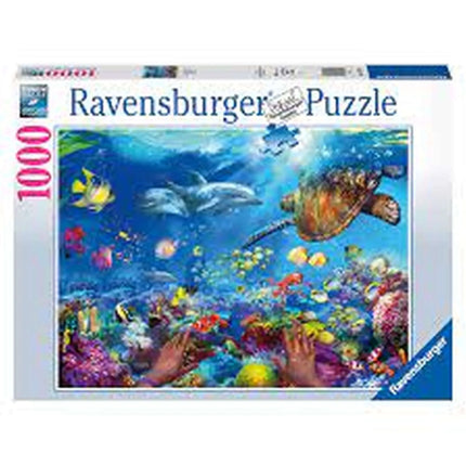 Dit is een foto van het spel Snorkelen te koop bij Speldorado Spellenwinkel Delft