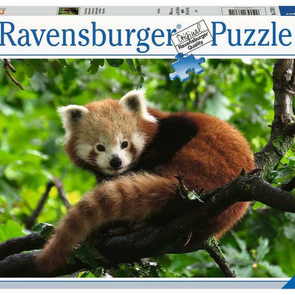 Dit is een foto van het spel Schattige Rode Panda te koop bij Speldorado Spellenwinkel Delft