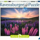 Dit is een foto van het spel Lupinen te koop bij Speldorado Spellenwinkel Delft