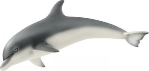 Dolfijn - 14808