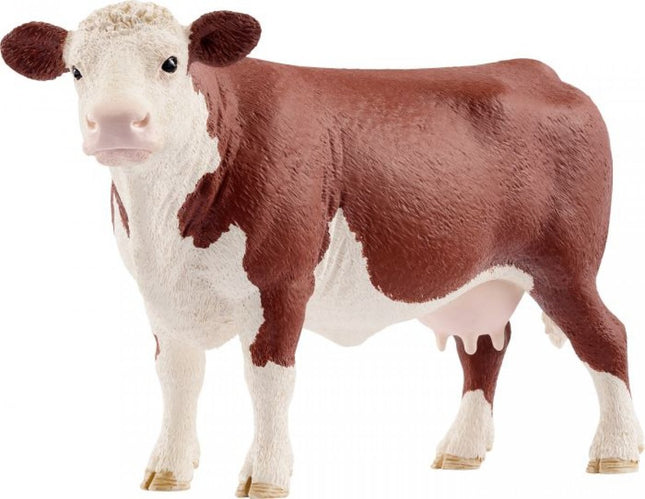 Hereford Koe - 13867