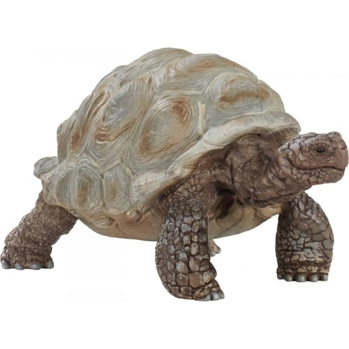 afbeelding artikel Reuzenschildpad - Wild Life