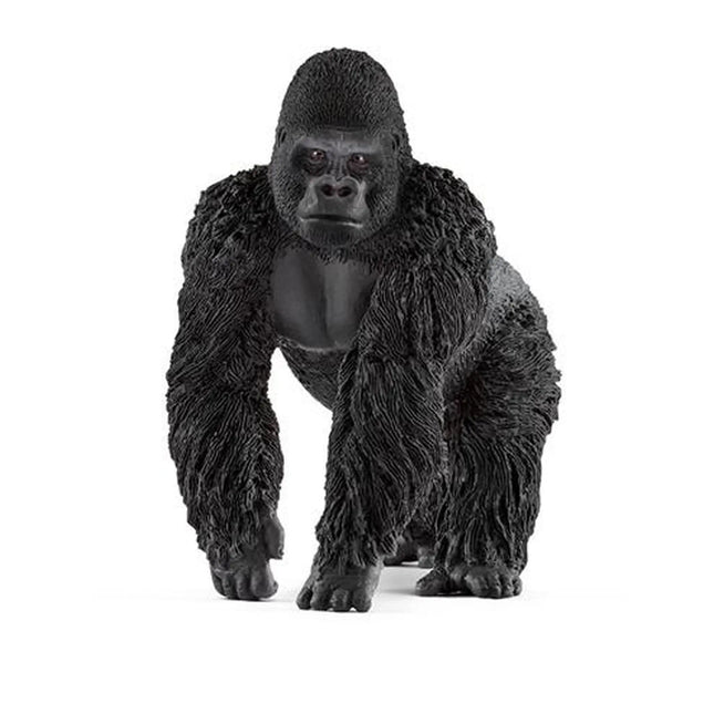 afbeelding artikel Gorilla Mannetjes