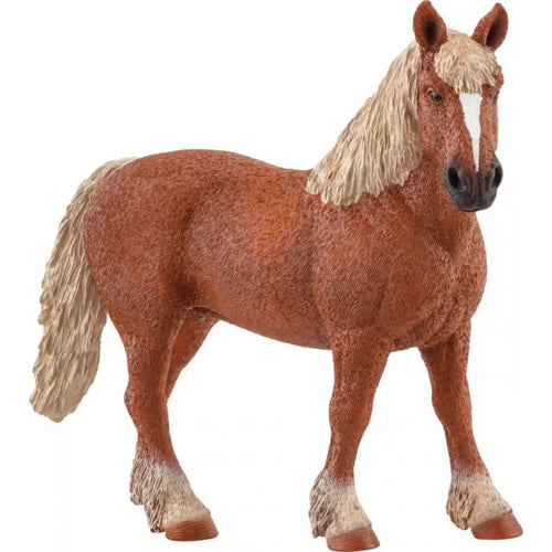 afbeelding artikel Belgische paard