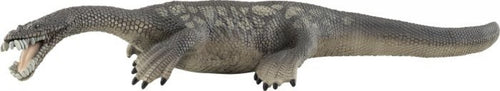 Nothosaurus - 15031