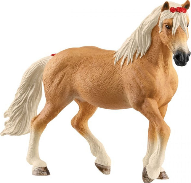 Haflinger Mare - 13950