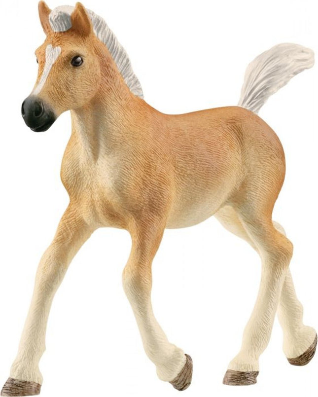 Haflinger Veulens - 13951