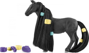 Schoonheid Paard Criollo Absoluut Merrie - 42581