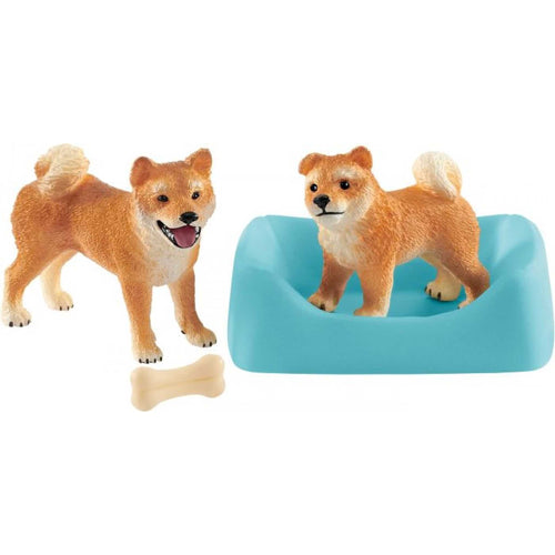 afbeelding artikel Shiba Inu Moeder En Puppy