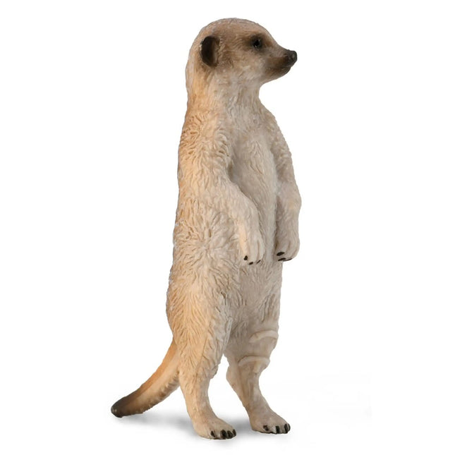 Meerkat, 3388913 van Dam te koop bij Speldorado !