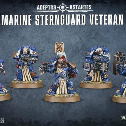 Dit is een foto van het spel Sternguard Veteran Squad - Space Marine te koop bij Speldorado Spellenwinkel Delft
