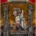 Dit is een foto van het spel Lord Of Blights - Maggotkin of Nurgle te koop bij Speldorado Spellenwinkel Delft