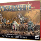 Dit is een foto van het spel Putrid Blightkings - Maggotkin of Nurgle te koop bij Speldorado Spellenwinkel Delft
