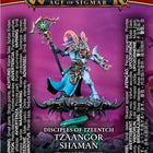 Dit is een foto van het spel Tzaangor Shaman - Tzeentch te koop bij Speldorado Spellenwinkel Delft