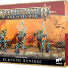 Dit is een foto van het spel Kurnoth Hunters - Sylvaneth te koop bij Speldorado Spellenwinkel Delft